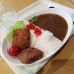 Unagi No Mikawa - 「羽布ダムカレー (820円)」