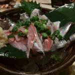 伊酒や 春木屋 - 真いわし刺600円