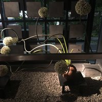 博多もつ鍋 やま中 赤坂店 - 