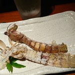 めしの助 - 1806蝦蛄！食べかけてあわてて戻して写真撮影！