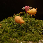 スリーピグレッツカフェ - ３匹の子ぶた