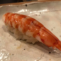 月の木 - 