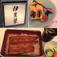 鰻割烹 伊豆栄 本店 - 