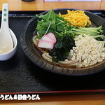 こんこ屋 - 冷やしたぬき