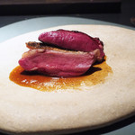 エクアトゥール - フランス、ラカン産の鳩