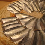 三谷 - シンコのアップ　まさに宝石です　この時期としては最高級！