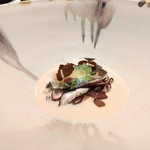 フロリレージュ - 椎茸 バッカス