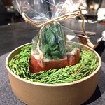 フロリレージュ - 