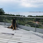 Marina di Cavu - オーナーさんのお部屋