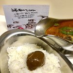 かれーの店 うどん  - 初夏・プレミアム　たまごは借り物