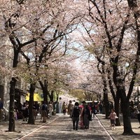  祇園 白川 なみ里 - 