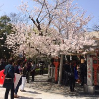  祇園 白川 なみ里 - 