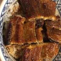 うなぎの新甫 - 