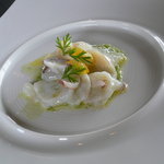茨城レストラン　フェリチタ - 3種の鮮魚 ｷｭｳﾘのｳﾞｨﾈｸﾞﾚｯﾄｿｰｽ