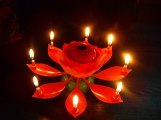 Chuugoku Ryourishi Rukurodo - 素敵な時間をお過ごしください◆【お誕生日に】◆火を点けると花が開き、音楽が流れます！