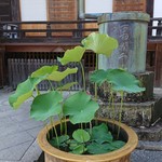 あさば - 修禅寺