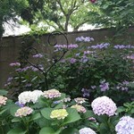 あざみ野うかい亭 - 