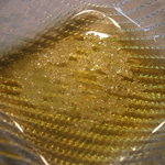 ヒカリヤ ニシ - 23年7月　パン用のオリーブオイル＆岩塩