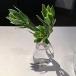 ル　ピニョン - 