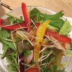 カフェ アクイーユ - 【’18.6】彩り豊富で美味しそうなサラダ