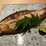 鮨 さかい - 若鮎