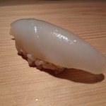 鮨 さかい - アオリイカ