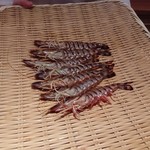 鮨 さかい - 車海老