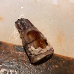 すし匠 まさ - しゃこ