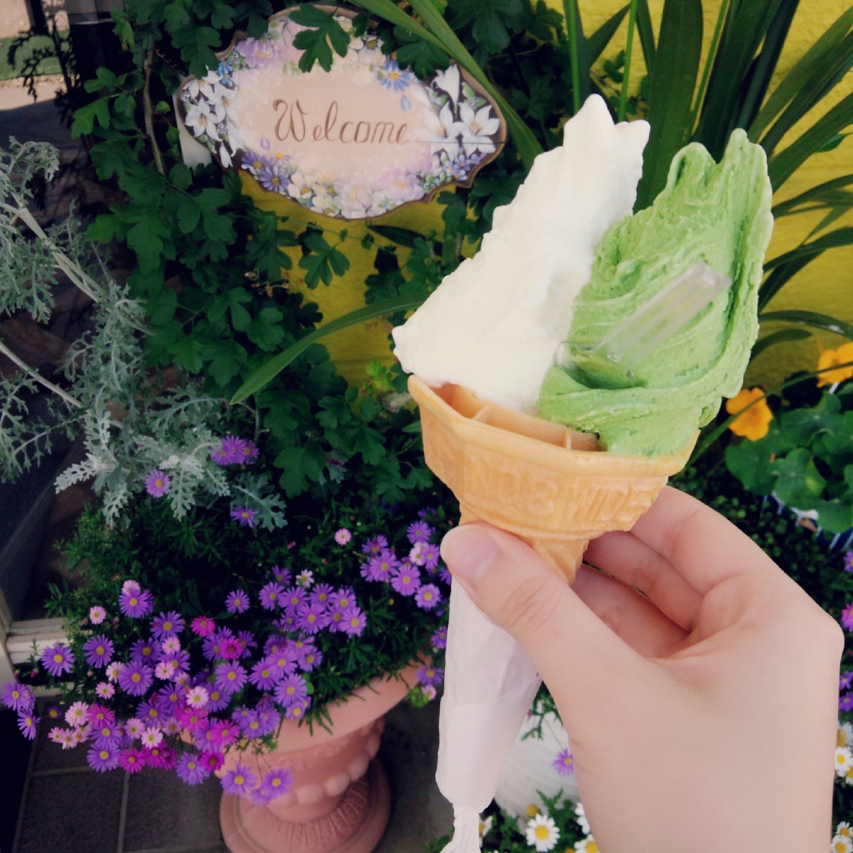 アイス工房 ももい name=