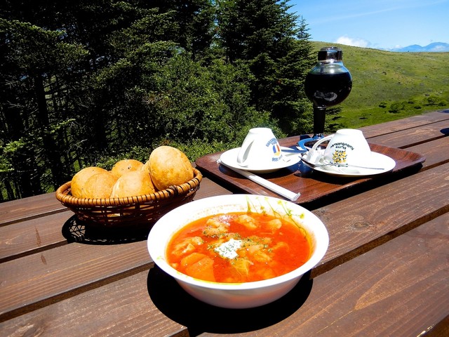 お店周辺の絶景動画付 標高1925ｍの高山にある伝説のヒュッテ 大自然の中 食べるボルシチ パンとドリンク付きで1300円 サイフォン珈琲の香りがいい 6月はレンゲツツジが満開 ゆるキャン の聖地 By Medy コロボックルヒュッテ 茅野市その他 カフェ 食べログ