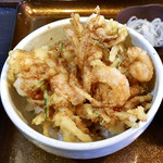 Tendon Tanabo - 