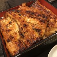 日本料理 きた山 新横浜店 - 