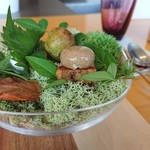 エッサンシエル - フレッシュチーズの大葉巻、温かい抹茶シュー、コンテチーズのキッシュとマッシュルームのムース