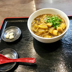 手打ちうどん 大蔵 - カレーうどんミニ