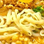 すき家 - ロカボな麺のアップ。細めのきしめんイメージ。