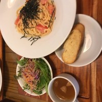 ブラチェリア バーヴァ - 