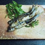 と村 - 琵琶湖の稚鮎の焼き物