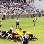 秩父宮ラグビー場 売店 - 気合の入ったスクラム。