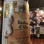 和飲屋 Qvino - バルベーラ