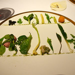 ブレストンコート ユカワタン