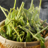 茶豆