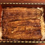 鰻はし本 - 鰻重 ろ