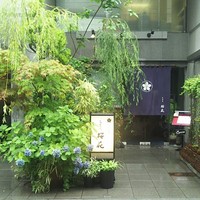 高麗橋桜花 - 