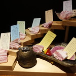 豚美 - ☆いろんな種類の豚さん達!(^^)!☆