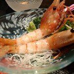 かきと旬鮮料理とおそば 開 - ぼたん海老