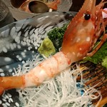 かきと旬鮮料理とおそば 開 - ボタン海老