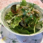 ムッシュ田中の料理とワインの店Vin Vin - 野菜サラダ