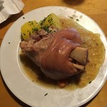 Schildkröte berlin - 拡大