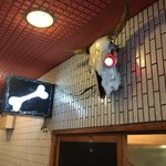 一条流がんこ総本家分家四谷荒木町 - 外観