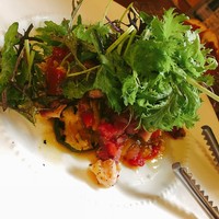カリーナ　カリーナ - 